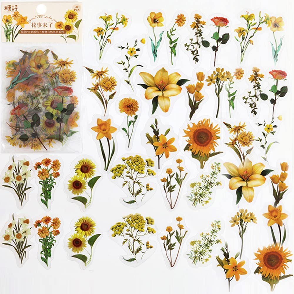 40 Pcs Scrapbook Stickers PET  - Art Craft Journals 评论和价格
