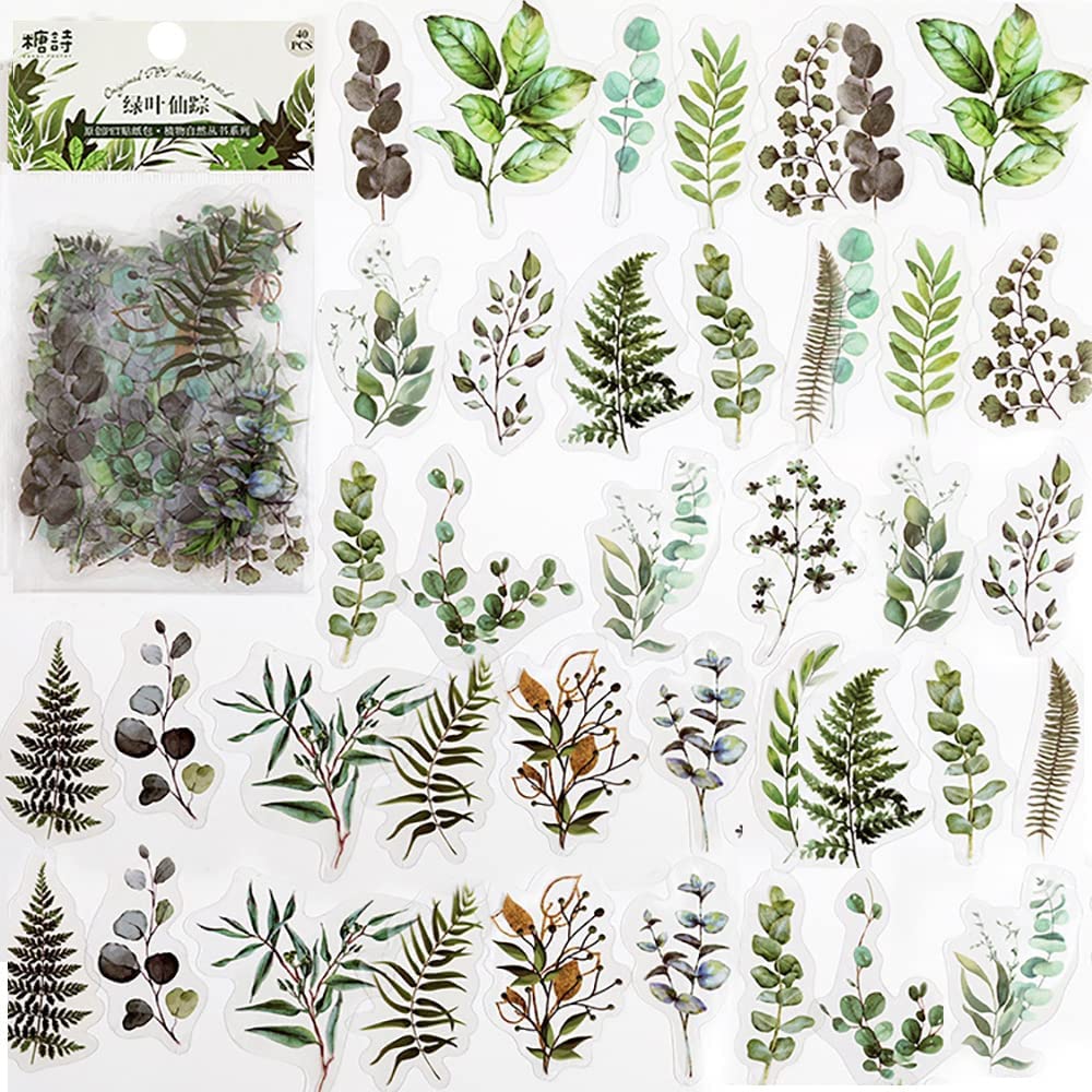 40 Pcs Scrapbook Stickers PET  - Art Craft Journals 评论和价格