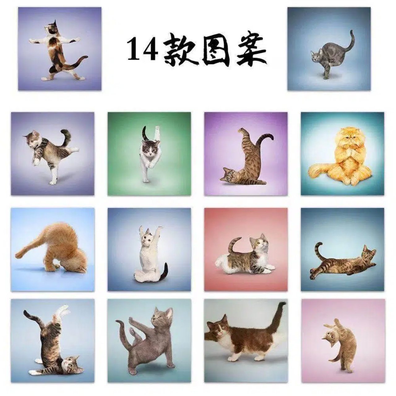 500pcs Cute Cat Roll Stickers  - Art Craft Journals 评论和价格